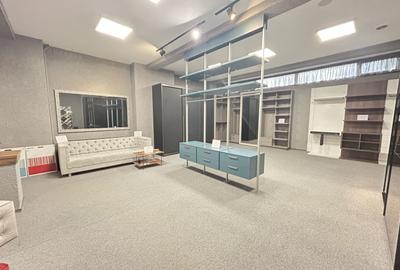 Imobil S+D+P+E+M - Centru - str. Siretului v-a-v de Regina Maria 678mp - 6