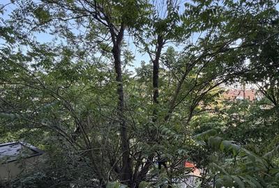 Apartament cu 2 camere semidecomandat, mobilat în Titulescu - 2