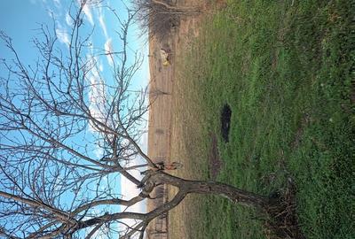 Casă cu 3 camere în Dâmbovița - 1