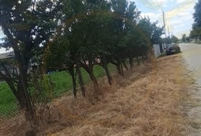 0% COMISION - TEREN GENEROS 5000 MP  GOLESTI - ARGES - 3