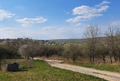 Spațiu comercial, în Spitalul Județean - 3