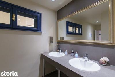 Casă cu Canalizare în Primăverii - 10