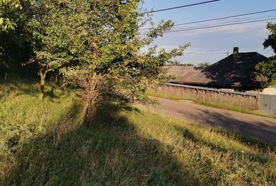 Teren de 2700 mp, în Dobreni - 8