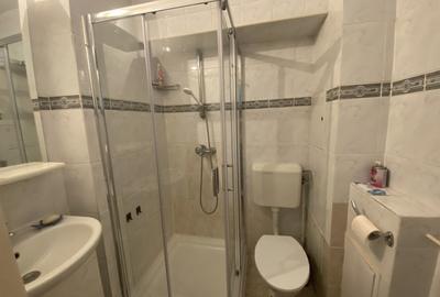 Garsonieră decomandată, mobilată în Muncii - 3