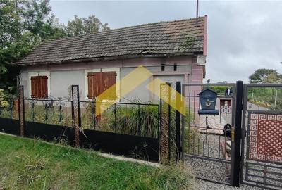 Casă individuală cu 3 camere în Aurel Vlaicu