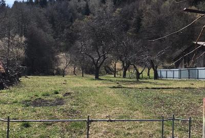 Teren de 5400 mp, în Agapia - 2