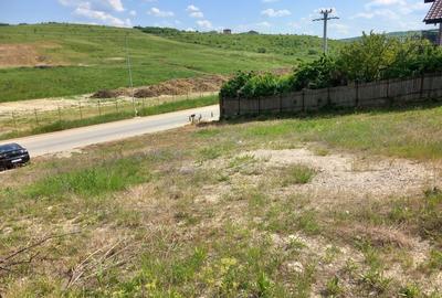 Teren de 450 mp, în Vișan - 2