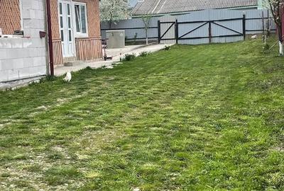 Casă cu Teren 1600 Mp în Burla - 4