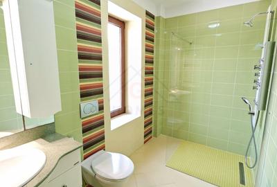 Casă individuală cu 8 camere cu Canalizare în Fratelia - 10