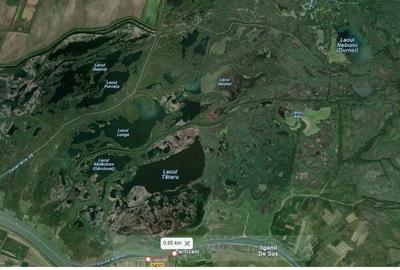 Teren de 17000 mp, în Partizani - 8