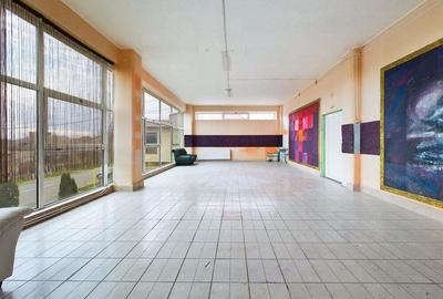 Hala de 2050 mp in Arad - 8