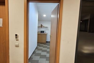 SPATII BIROURI 160 mp + hala 250- sos Chitilei - 8