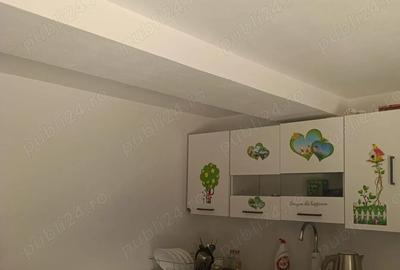 Casă cu 3 camere cu Teren 400 Mp în Incești (Avram Iancu) - 4