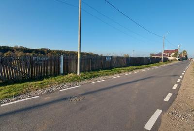 Teren Construcții intravilan de 900 mp, în Brănești - 5