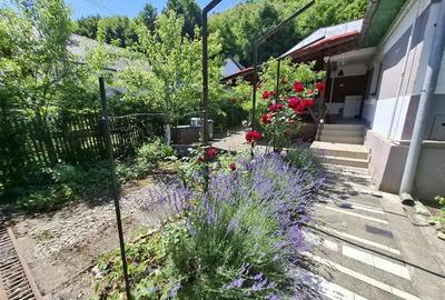 Casă cu 5 camere în Valea Roșie - 4