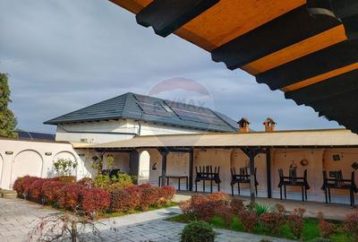 Două vile de patrimoniu, restaurate integral, cu farmec interbelic - 31