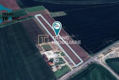 Teren Construcții intravilan de 28000 mp, în Vladimirescu - 1