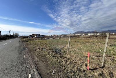 Teren de 1330 mp, în Sud - 4