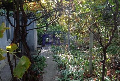 Casă cu 3 camere cu Teren 288 Mp în Eroii Revoluției - 13