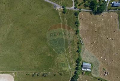 Teren Bran -Sohodol, Strada La mesteceni, 6900mp - 14