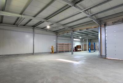 Inchiriez hala in oras pe strada Cerbului - 3