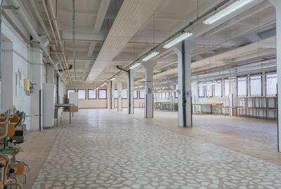 Spațiu comercial, de 3,550 mp, în Mărăști - 7