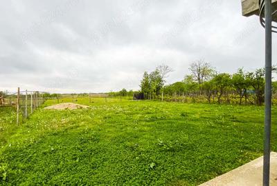 Casa Bradu Arges Casa Bradu Arges - 10