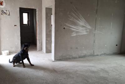 Ocazie!!  Sanandrei – Casa individuala [GRI ] 4 Camere  parter - 5