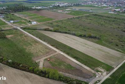 Spațiu comercial, în Moșnița Nouă - 6