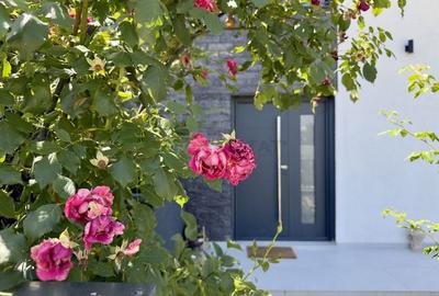 Vila 4 camere, curte amenajata | Strada Petre Ispirescu - 35