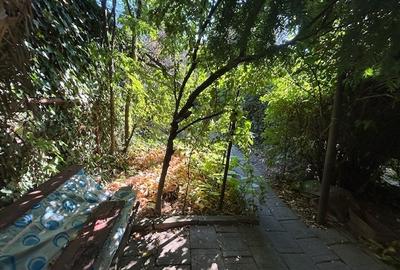 Dacia, Stefan cel Mare, Mihai Eminescu, ap. 3 cam. + curte proprie - 6