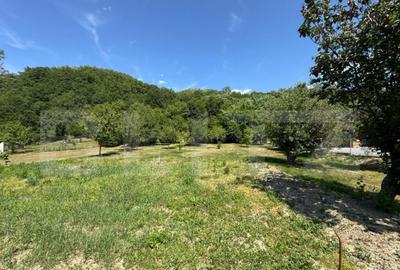 Casa cu 2 camere 53 mp in Lesnic, COMISION 0 PENTRU CUMPARAT - 1