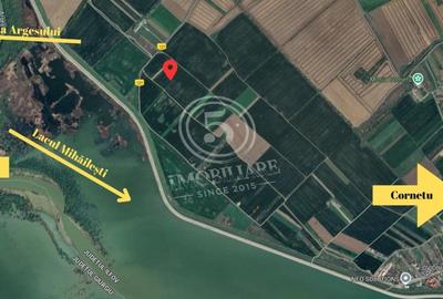 Teren agricol intravilan, Cornetu, Ilfov – 4.472 mp - 3