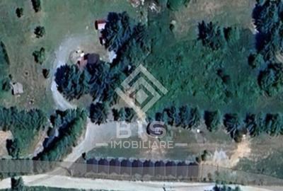 Teren de vanzare 12 ari - COLIBITA - 5