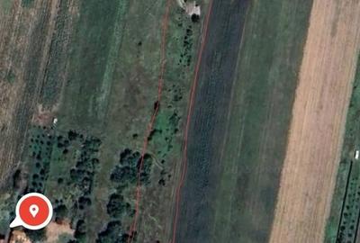 Teren de 5700 mp, în Teleac - 1