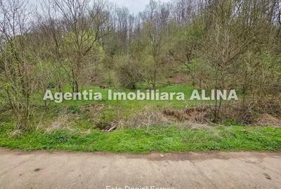 Teren intravilan 1.700 mp + 6.600 mp Padure de foioase + 1.200 mp Padure de foioase, Sat Nojag. - 1