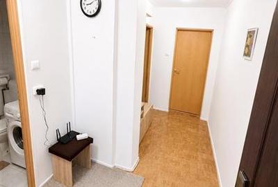 Apartament cu 2 camere decomandat, mobilat în Centrul Civic - 4