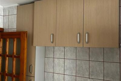 Apartament cu 2 camere decomandat, mobilat în Calarași 4 - 4