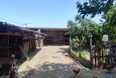 Casă cu 5 camere în Mineri - 3
