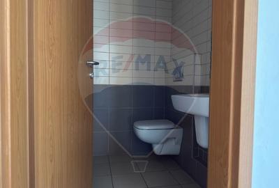 Spațiu comercial, de 570 mp, în Alexandru cel Bun - 8