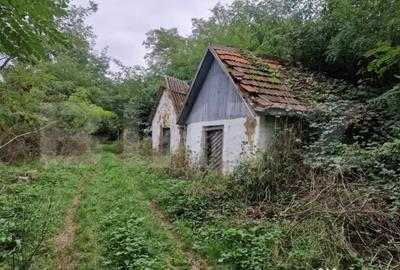 Teren de 79000 mp, în Central - 18