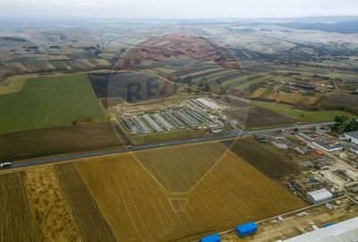 Teren 39,244mp Ilisesti / Strada Principala - 3