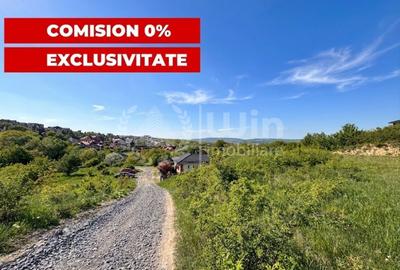 Teren Construcții intravilan de 959 mp, în Dezmir - 5