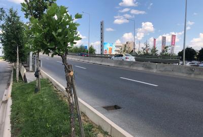 Spațiu comercial, în Central - 4