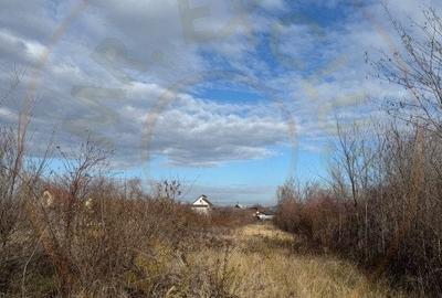 Comision 0 - Teren intravilan Prundu - Bananai - 2939 mp - 2