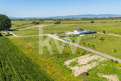 Teren pretabil constructie rezidentiala – Sanpetru - 7