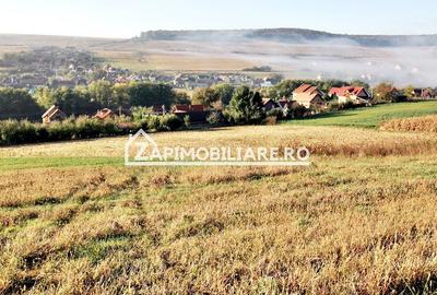 Teren agricol extravilan de 24574 mp, în Voiniceni