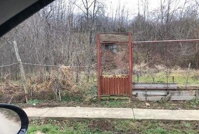 Teren de 3478 mp, în Viișoara - 7