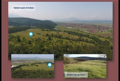 Proprietar vand Teren Cristian 195.000 mp - 7