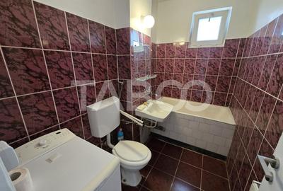Apartament de vanzare la etaj intermediar 2 renovat balcon Terezian - 4